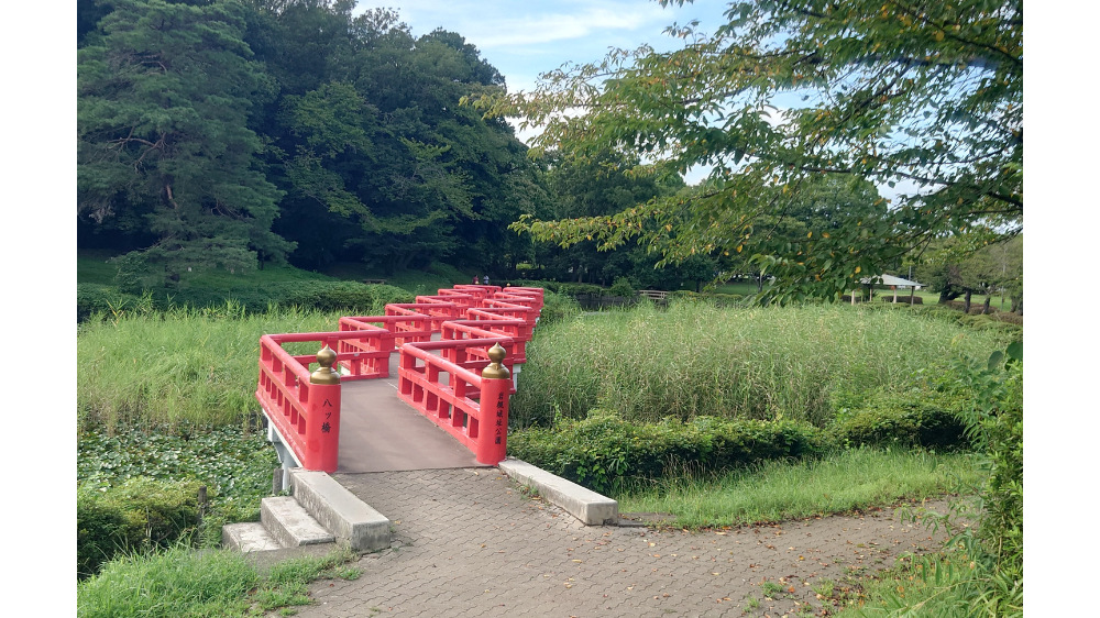 岩槻城址公園内の菖蒲池